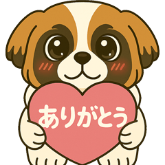 ゆるかわ｜なんとなくきんちゃん vol.1