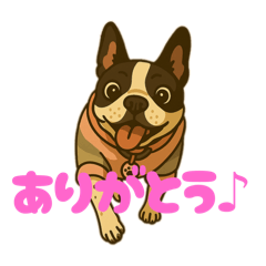 フレンチブルドッグひまりさんスタンプ