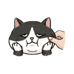 Cat greetings2