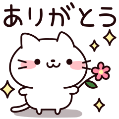 親切シロにゃん