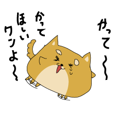 ハチタロウ、ワンよ～！