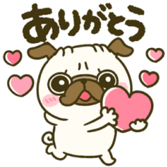 パグちゃん♡基本セット