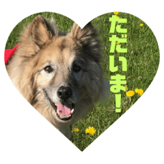 晴れ時々アメフラシ