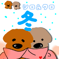 トイプードル シロ&クロ 冬Ｖｅｒ．