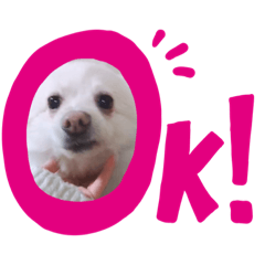 わんにゃんスタンプ☆