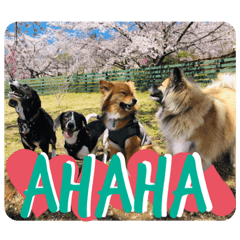 くるみ♡ナッツ♡お友達♡