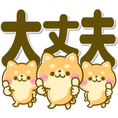 デカ文字♡豆柴ちゃん