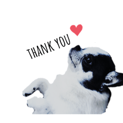 今日のヌクさん②