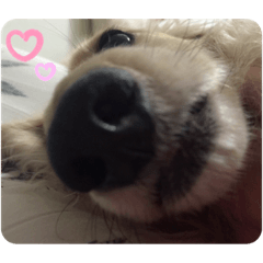 なみきさんPart2