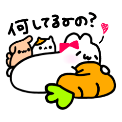 ぽっちゃりうさぎとネコと犬