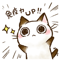 ちょこさん。２～目で気づかう猫～