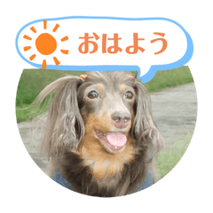 くるみ&あんずPart3