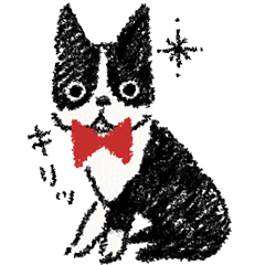 ゆるっとボステリライフ