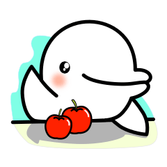 プールサイドのシロイルカ