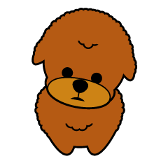 かわいいトイプードルたち