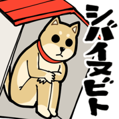 シバイヌビト