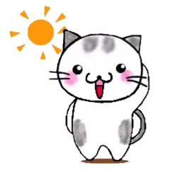 猫のふーにゃん