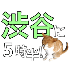 【半】東京ネコ 1.2