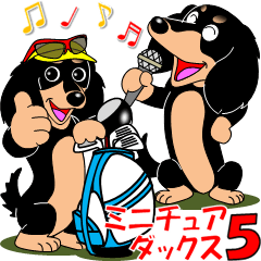 ミニチュアダックスのお誘い