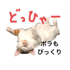 ポラとプラのなかよしスタンプ2