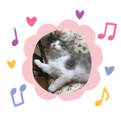 ノルウェージャンのエル①