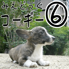 みえどっぐスタンプ コーギーカーディ編 ６