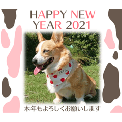 あけおめ♡テト