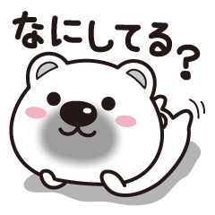 くまのシロたん☆基本セット