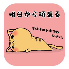 やる気のないネコたち