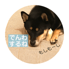 黒柴もなかのemotionスタンプ