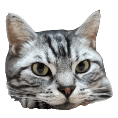 アメスコこてつスタンプ