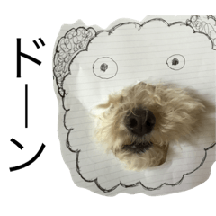 うちのいぬの日常