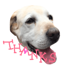 ちょこれーと part 2