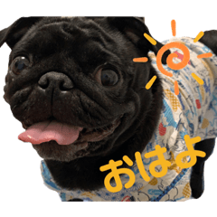 セイラ　(日常)