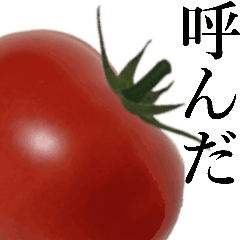【動く】こんな、トマト どうでしょう?