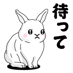 飛び出す！ドSうさぎちゃん11