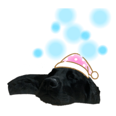 いつだってだんて 2番ていくつぅー