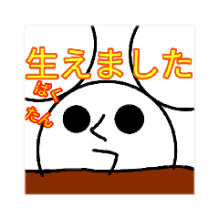 とある変なネズミ