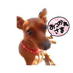 チャーとレオン