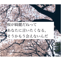 懐かしい恋愛ポエム