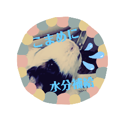 もるもるみかん