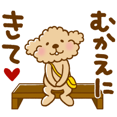 トイプーのぷう太郎 日常会話編