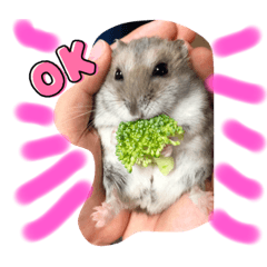 ハムスターくるみるく