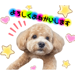 マルプーるいの日常♡