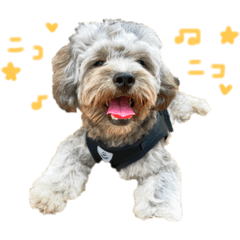 ふく丸スタンプ