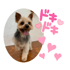 マサムネさんのスタンプ