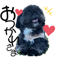 ペキシーのよもぎ１