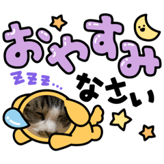 使えそうなニャンスタンプ