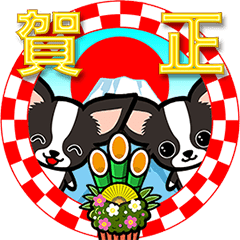 冬・年末年始ワンコ