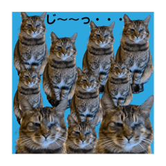 はなお&にょにょっぷ